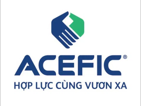 Hệ sinh thái ACE Thái Bình Dương của Chủ tịch Hoàng Việt Hùng nợ hơn 2,4 tỷ đồng tiền bảo hiểm xã hội