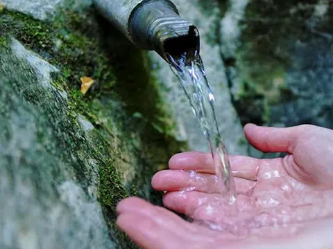 Vi phạm hành chính về thuế, Công ty Nước và Môi trường Việt Nam (VWS) bị phạt nặng