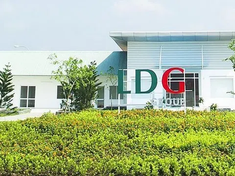 Lỗ hơn 92 tỷ đồng trong 6 tháng đầu năm, Công ty Đầu tư LDG (LDG) thay đổi nhân sự cấp cao