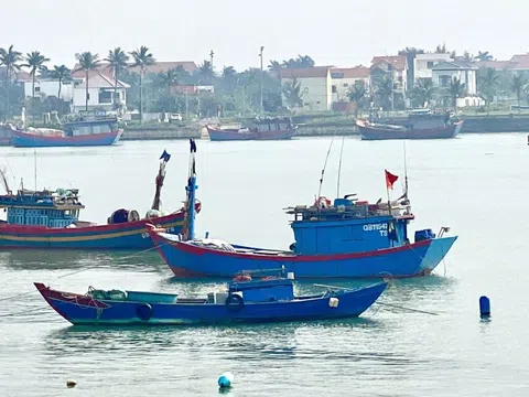 Quảng Trị tăng cường tuần tra, tập trung cao điểm chống khai thác IUU