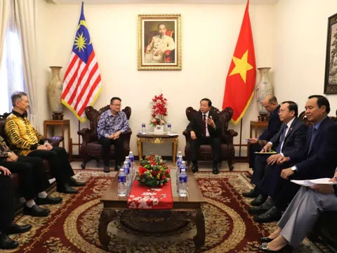 Phó Thủ tướng Trần Hồng Hà tiếp lãnh đạo một số hiệp hội, doanh nghiệp Malaysia