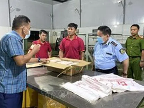 Phát hiện hàng nghìn con lợn đông lạnh chưa rõ nguồn gốc