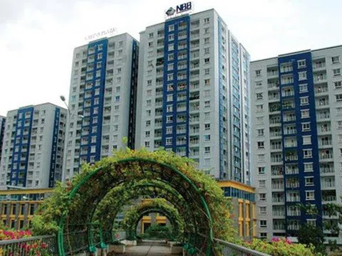 Công ty Năm Bảy Bảy (NBB): muốn đầu tư 2 dự án tổng vốn hơn 10.500 tỷ đồng, thay đổi nhân sự cấp cao