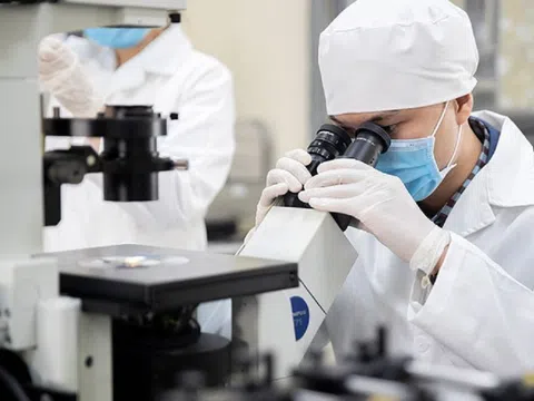 9 nhà khoa học Việt Nam lọt nhóm 10.000 nhà khoa học hàng đầu thế giới 2025