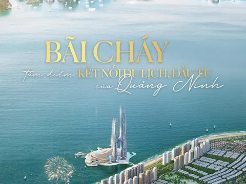 Bãi Cháy: Tâm điểm kết nối du lịch, đầu tư của Quảng Ninh