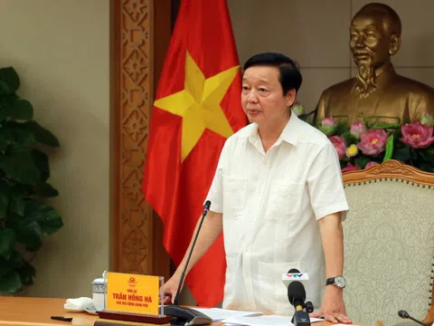 Triển khai nhanh chóng, quyết liệt phương án ứng phó siêu bão Ragasa (bão số 9)