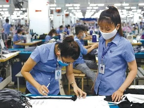 Dệt may Thành Công (TCM): lãi tháng 8 giảm nhẹ, đã nhận 60% đơn hàng quý IV