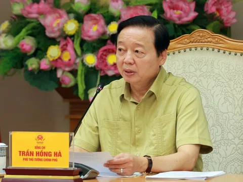 Chính sách đất đai, môi trường trong Trung tâm tài chính quốc tế: Bảo đảm cơ chế đặc thù, tránh thủ tục hành chính rườm rà