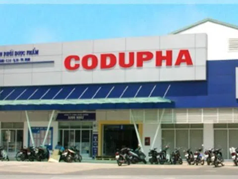 Codupha (CDP) 'thay máu' thượng tầng, Chủ tịch Hội đồng quản trị xin nghỉ hưu
