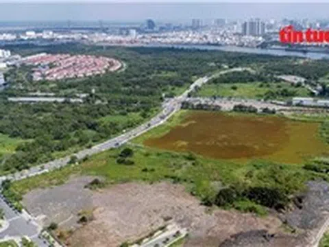 Làm gì khi người khác xây nhà 'nhầm' trên đất của mình?