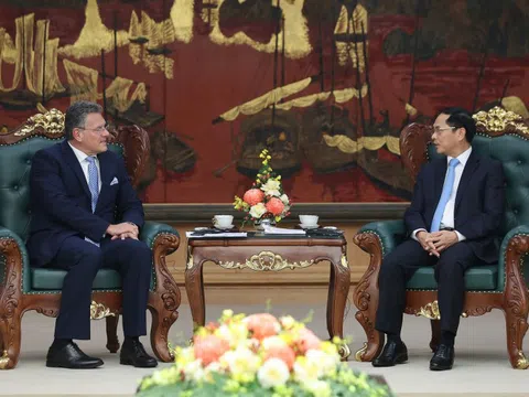 Phó Thủ tướng Bùi Thanh Sơn tiếp Cao uỷ Thương mại và An ninh kinh tế Liên minh châu Âu