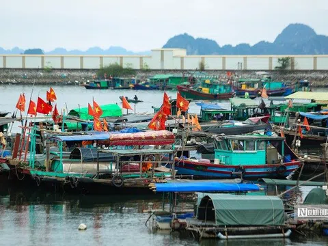 Thủ tướng yêu cầu các địa phương chủ động ứng phó bão số 10 ở mức cao nhất