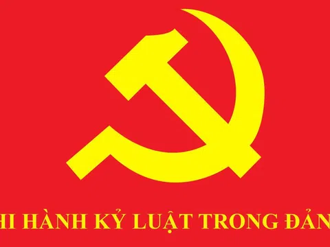 Bộ Chính trị, Ban Bí thư xem xét, thi hành kỷ luật tổ chức đảng, đảng viên vi phạm