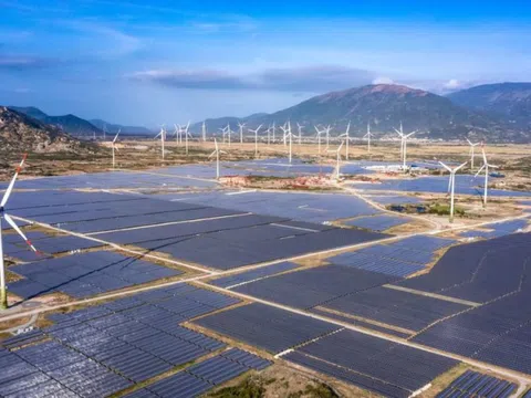 Công ty Điện mặt trời Trung Nam báo lãi sau thuế năm 2024 tăng 32%, 'sạch' nợ vay ngân hàng