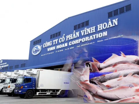 Doanh thu tại thị trường Mỹ trong tháng 8 của Vĩnh Hoàn (VHC) 'sụt' mạnh