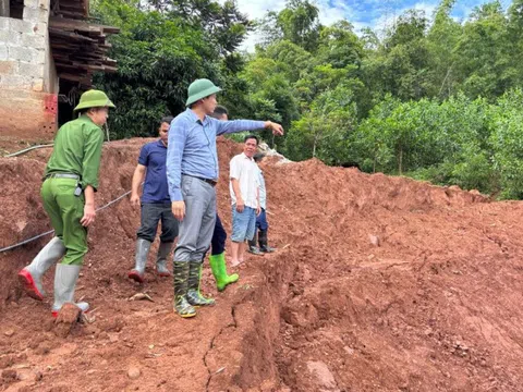Xuất hiện vết nứt lớn trên sườn dốc ở Phú Thọ, di dời 84 người dân