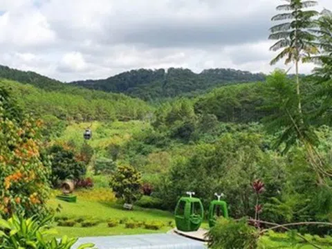 Lỗ lũy kế hơn 500 tỷ đồng, Sài Gòn - Lâm Đồng lùi lịch thanh toán gần 320 tỷ đồng lãi trái phiếu