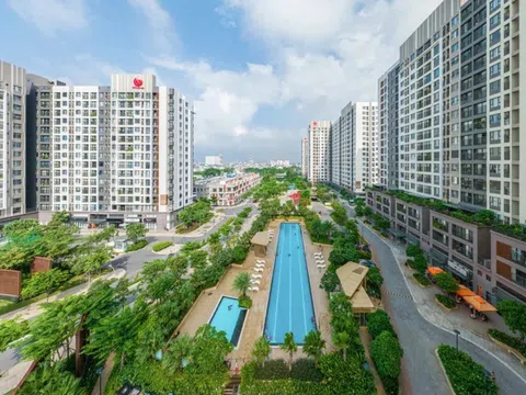Hai công ty thành viên của Pi Group nợ thuế hơn 400 tỷ đồng