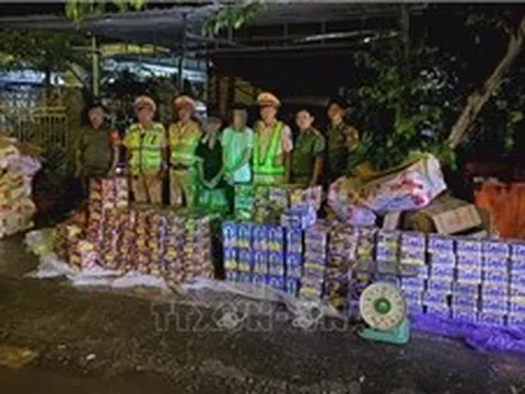 Thu giữ hơn nửa tấn pháo hoa nổ các loại tại Đồng Nai