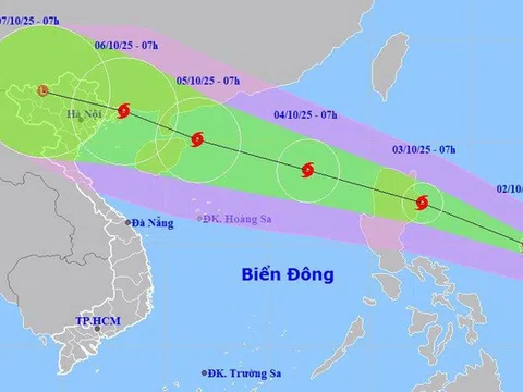 Sẵn sàng lực lượng, phương tiện tại nơi xung yếu trước bão số 11