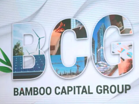 Bamboo Capital giải trình việc cổ phiếu bị đình chỉ giao dịch