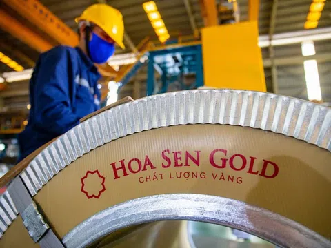 Tập đoàn Hoa Sen (HSG) giải thể một công ty liên kết thành lập năm 2019 nhưng chưa góp vốn