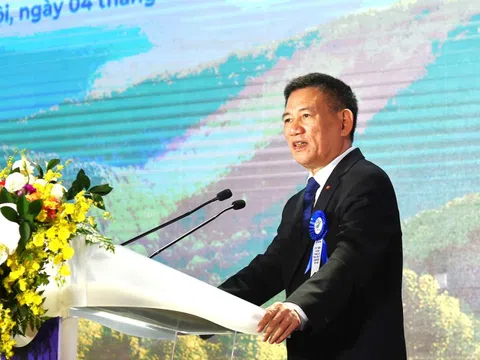 Phát triển VINAFOR trở thành tập đoàn lâm nghiệp quy mô lớn