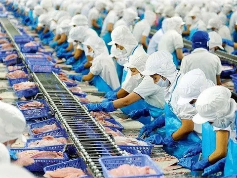 Xuất khẩu thủy sản đạt 8,33 tỷ USD sau 9 tháng, tăng trưởng 15,5%