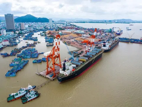 Gia Lai yêu cầu bàn giao đất tái định cư, dọn mặt bằng Cảng Quy Nhơn