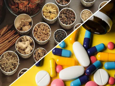 Phân cấp giải quyết một số thủ tục hành chính trong lĩnh vực dược