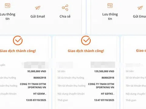 Tham gia nhóm pickleball trên mạng, một phụ nữ bị lừa 600 triệu đồng