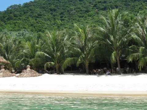 Phát triển Cù lao Chàm xứng tầm khu du lịch của quốc gia