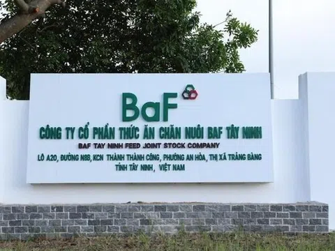 Baf Việt Nam (BAF) lên kế hoạch phát hành 1.000 tỷ đồng trái phiếu '4 không' ra công chúng