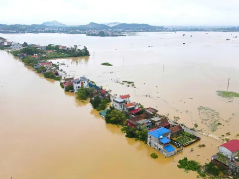 Chống tràn khẩn cấp tuyến đê Hà Châu