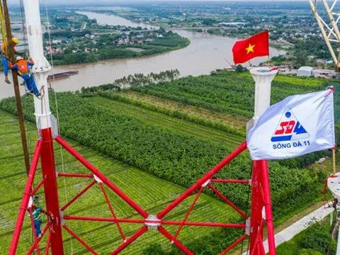 Chào bán giá 13.000 đồng/cp thành công, Sông Đà 11 (SJE) chứng kiến cổ đông lớn 'ế' nặng vì giá 77.000 đồng/cp