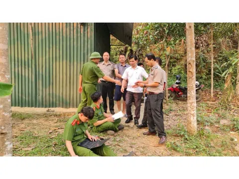 Thi hành án dân sự năm 2025: Vượt chỉ tiêu Quốc hội giao cả về việc và tiền