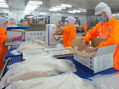 Cổ phiếu ANV của Thủy sản Nam Việt bật tăng sau tin vui từ cổ tức
