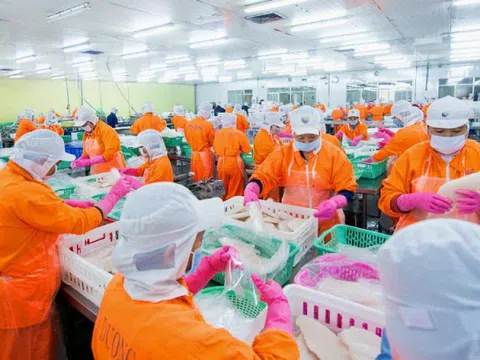 Cổ đông Nam Việt (ANV) sắp nhận gần 270 tỷ đồng cổ tức tiền mặt