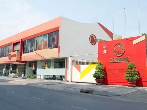 Casumina (CSM): Lợi nhuận 9 tháng đạt gần 74 tỷ đồng, đặt mục tiêu vượt 10% kế hoạch năm