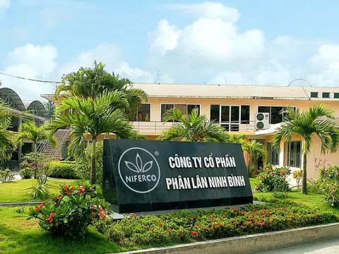 Giá bán và sản lượng tiêu thụ tăng giúp Phân lân Ninh Bình (NFC) báo lãi quý III tăng gấp gần 4 lần
