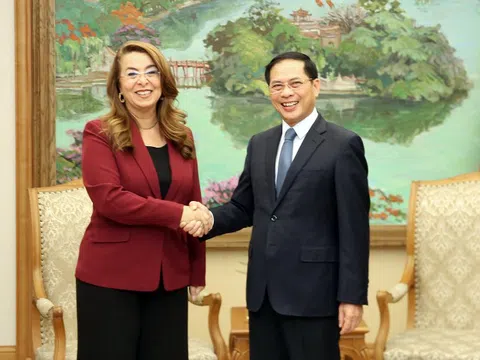 Việt Nam tăng cường hợp tác với UNODC trong phòng, chống tội phạm