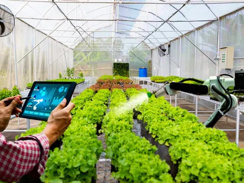Gia Lai có thêm dự án nông nghiệp công nghệ cao hơn 1.670 tỷ đồng, quy mô 457 ha