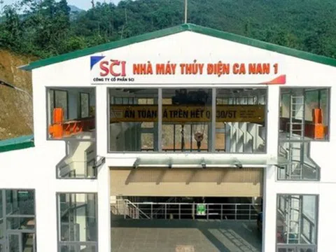 Mua 1 triệu cổ phiếu S99 không báo cáo, Chủ tịch SCI Nguyễn Công Hùng bị phạt 175 triệu đồng và đình chỉ giao dịch