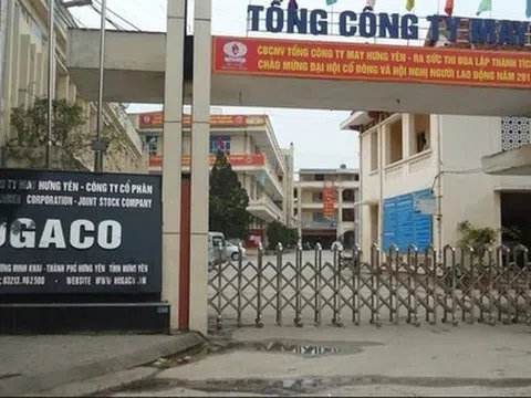 Hugamex (HNI) báo lãi quý 3 giảm 34%, biên gộp chạm đáy 2 năm do gián đoạn xuất khẩu sang Mỹ