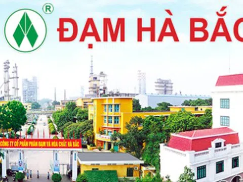 Dừng máy đại tu, Đạm Hà Bắc (DHB) báo lỗ 96 tỷ đồng, xóa sạch thành quả 6 tháng