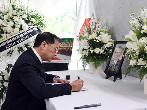 Phó Thủ tướng Bùi Thanh Sơn viếng nguyên Thủ tướng Nhật Bản Murayama Tomoiichi