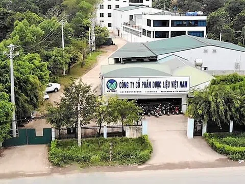Dược liệu Việt Nam (DVM): Dòng tiền dương 112 tỷ, tỷ lệ thắng thầu 89,8%, cổ phiếu vẫn giao dịch 'dưới mệnh giá'