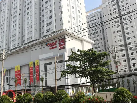Bất động sản REE bán không thành công gần 3 triệu cổ phiếu SGR do 'giá chưa đạt kỳ vọng'