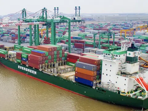 Viconship (VSC) điều chỉnh kế hoạch lợi nhuận tăng 212%, cổ đông lớn và lãnh đạo liên tục thoái vốn