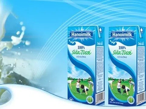 Doanh số gia công giảm khiến lợi nhuận quý III/2025 của Hanoimilk (HNM) đi lùi